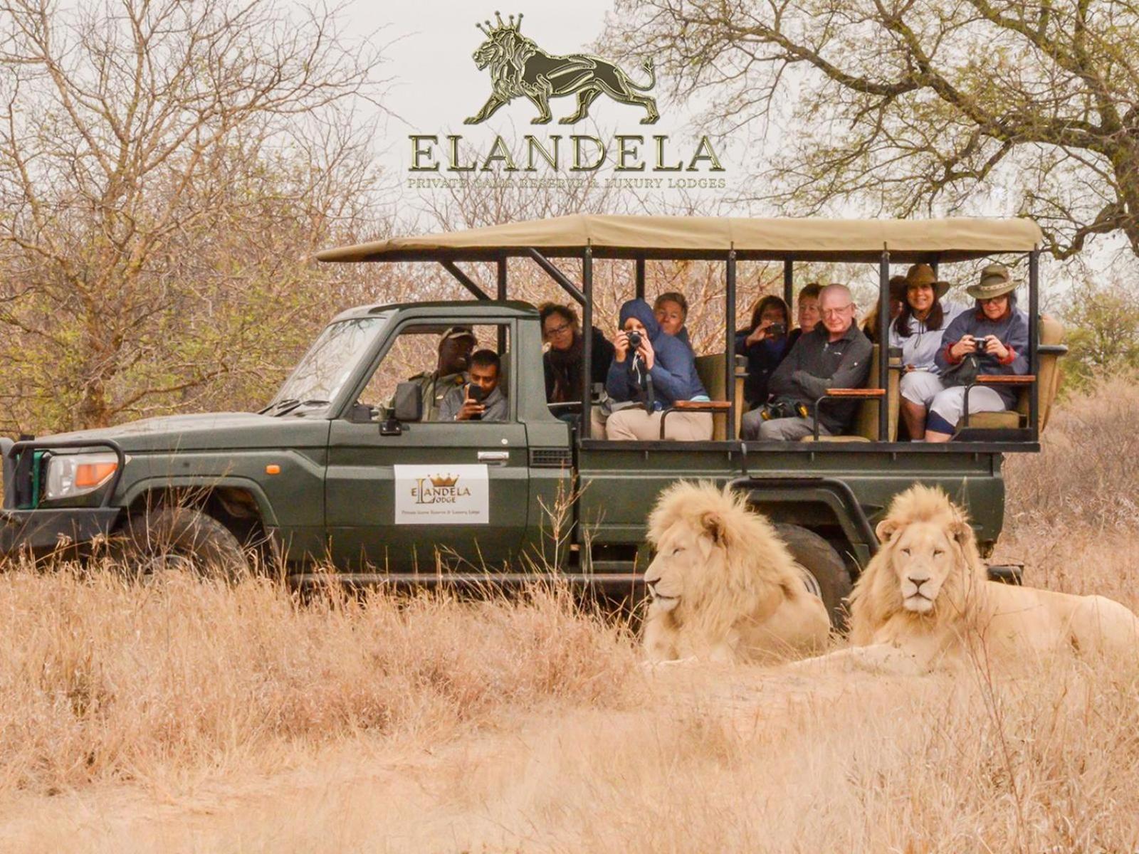 Elandela Private Game Reserve And Luxury Lodges Pty Ltd Hoedspruit Esterno foto