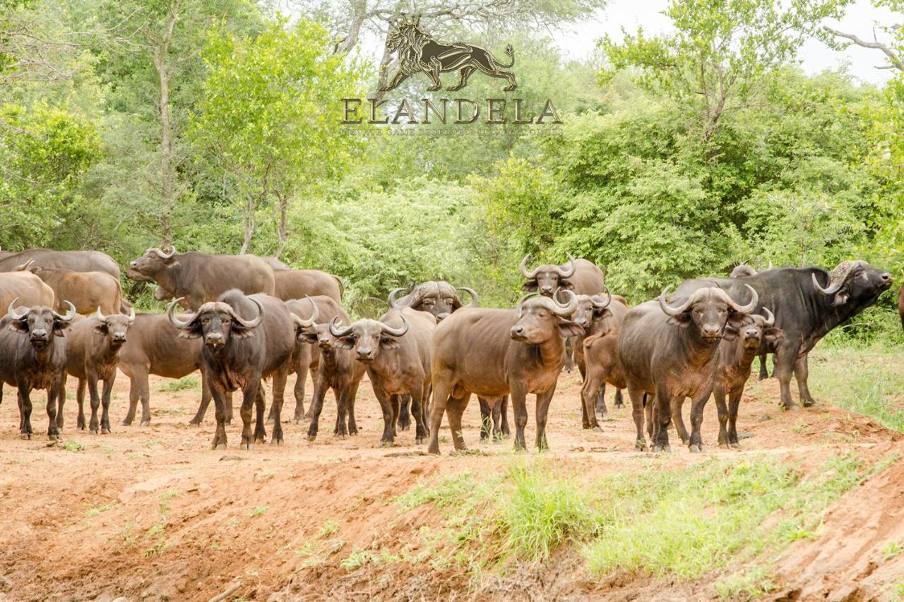Elandela Private Game Reserve And Luxury Lodges Pty Ltd Hoedspruit Esterno foto